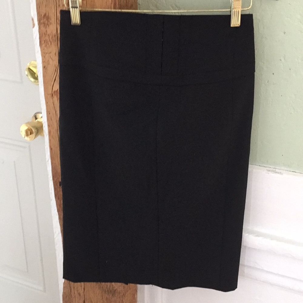 Express Skirt